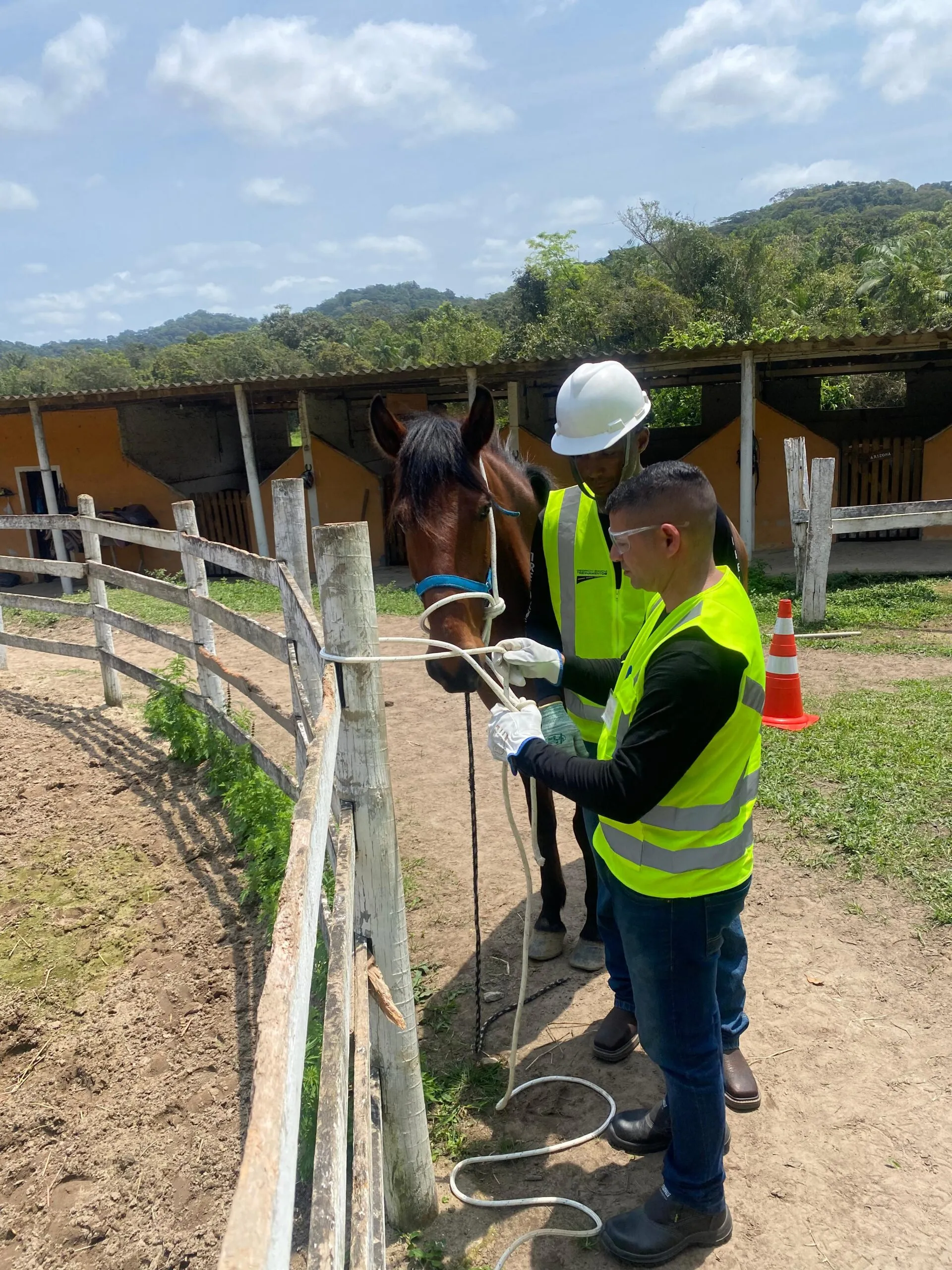 WhatsApp Image 2024-10-28 at 15.31.51