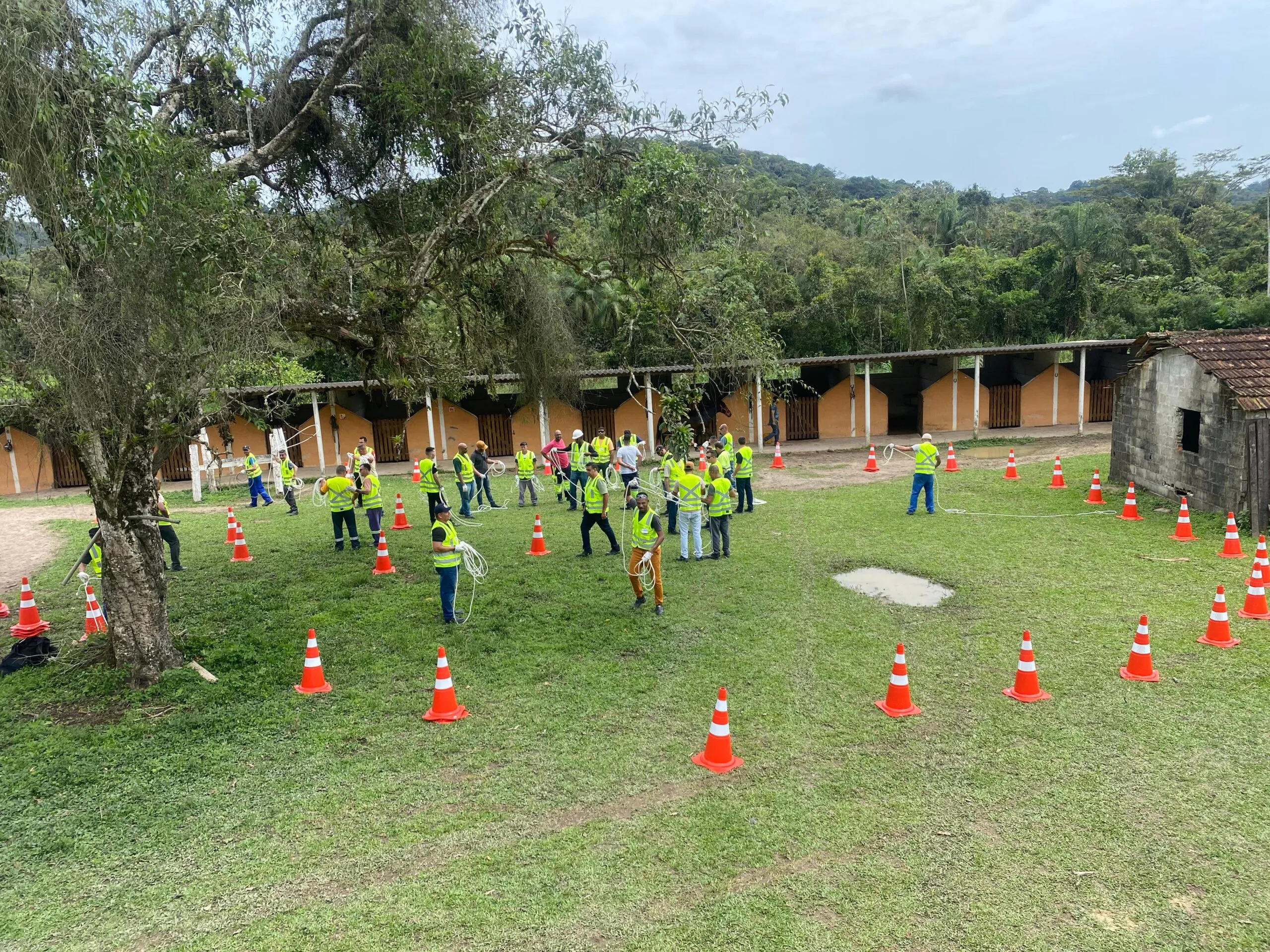 WhatsApp Image 2024-10-28 at 15.31.52